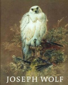 Joseph Wolf (1820-1899). Tiermaler. Animal Painter.